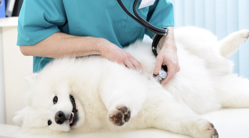 1家族ごと対話型の診察